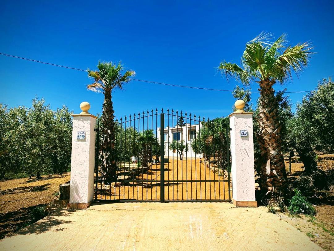 שאקה Villa Immersa In Oliveto Vista Mare מראה חיצוני תמונה