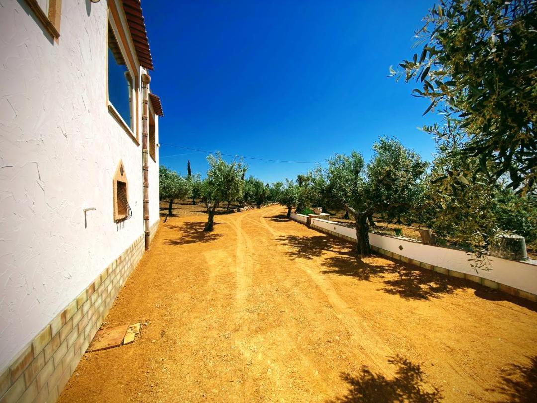 שאקה Villa Immersa In Oliveto Vista Mare מראה חיצוני תמונה